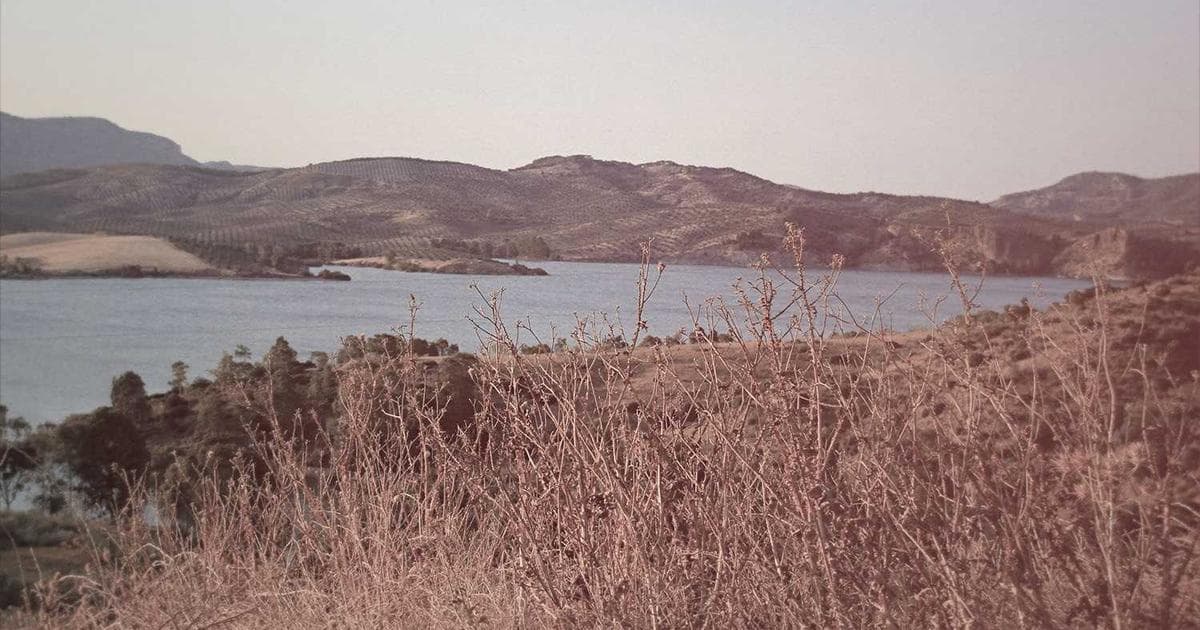 Yapay Zeka ve Sürdürülebilir Gelecek